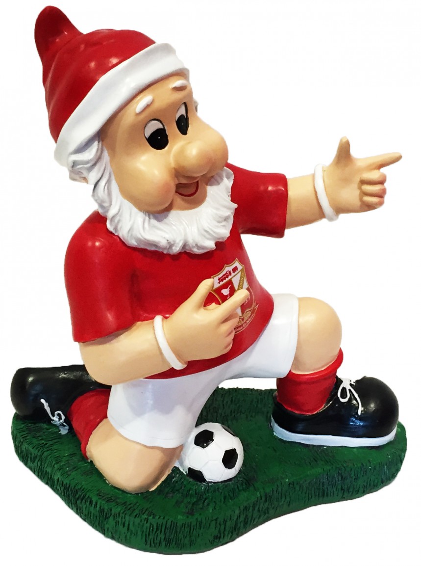 Celebration Gnome
