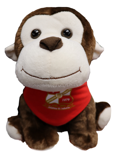 Monkey Soft Toy