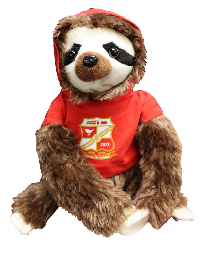 Sloth Soft Toy