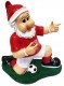 Celebration Gnome