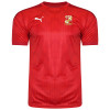 20/21 Puma Adult Stadium Tee Red/Chilli