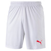 21/22 Kids Home Short
