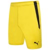 22/23 Kids Home GK Short