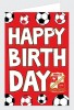 STFC Birthday Football