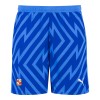 23/24 Adult Home Goalkeeper Short