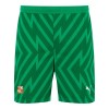 23/24 Kids Third Goalkeeper Short
