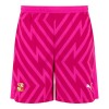 23/24 Adult Away Goalkeeper Short