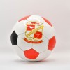 Size 3 Crest Ball
