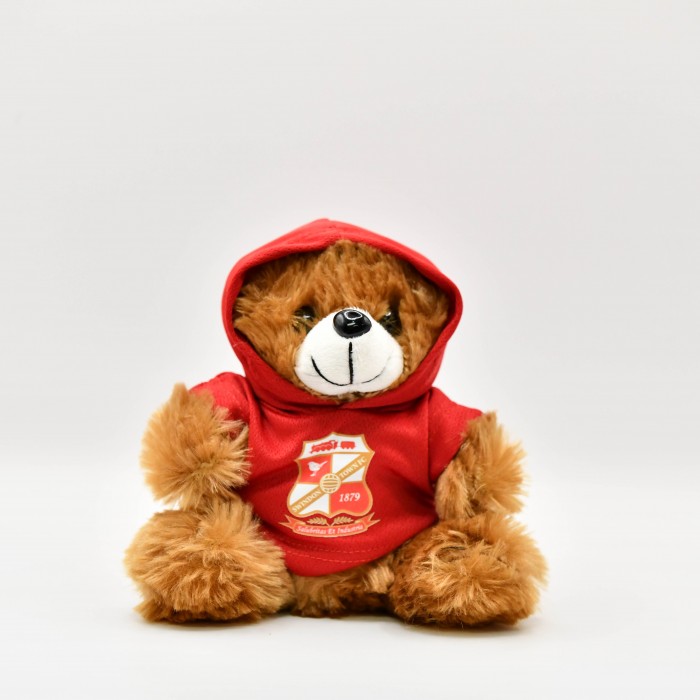 Brown bear soft Toy